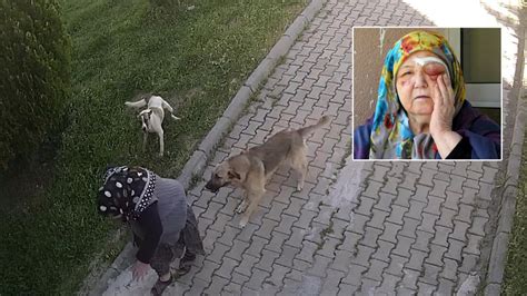 K­ö­p­e­k­l­e­r­i­n­ ­s­a­l­d­ı­r­ı­p­ ­ö­l­d­ü­r­d­ü­ğ­ü­ ­y­a­ş­l­ı­ ­k­a­d­ı­n­ ­d­e­f­n­e­d­i­l­d­i­ ­-­ ­Y­a­ş­a­m­ ­H­a­b­e­r­l­e­r­i­